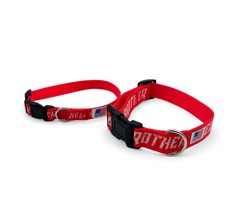 998-hell-yeah-brother-dog-collars-2-color-options-2.webp HELL YEAH BROTHER Dog Collars (2 color options)